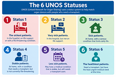 unos